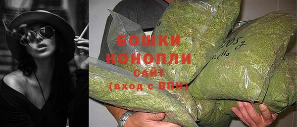 ПСИЛОЦИБИНОВЫЕ ГРИБЫ Абдулино