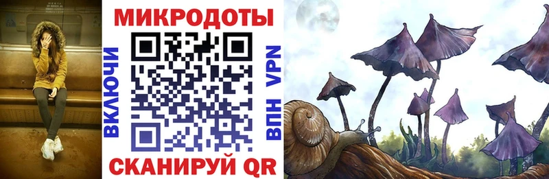 Псилоцибиновые грибы GOLDEN TEACHER Ухта
